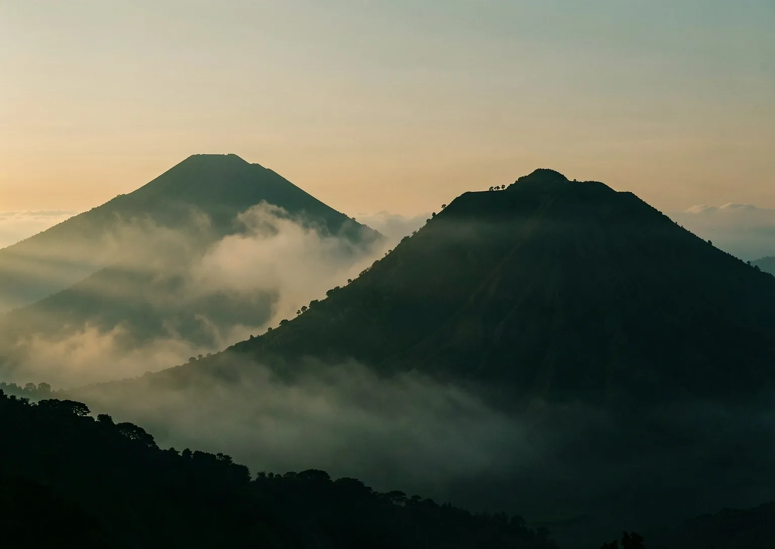 Endurance and vitality landscape